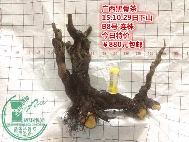 QQͼƬ20151029212901_.jpg