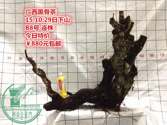 QQͼƬ20151029212917_.jpg