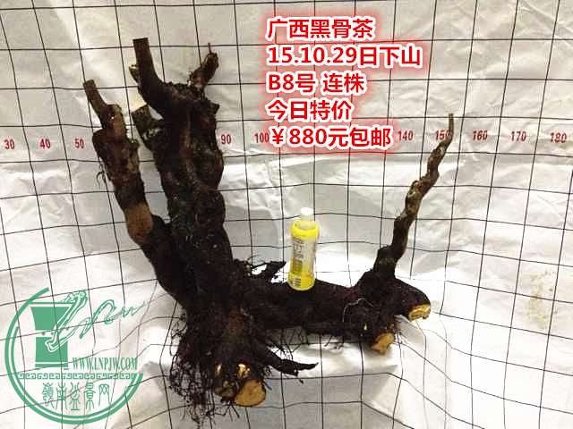 QQͼƬ20151029212928_.jpg