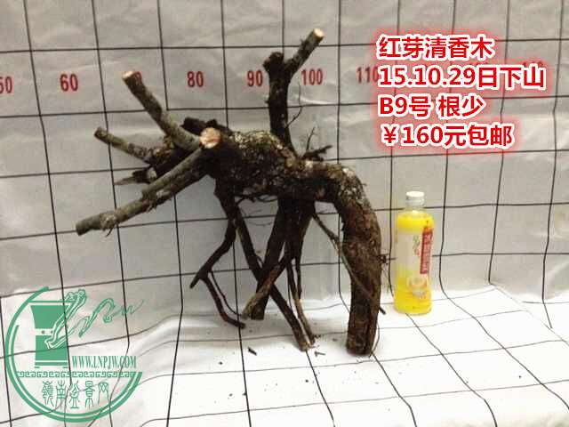 QQͼƬ20151029212934_.jpg