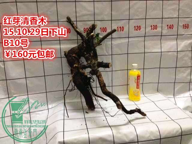 QQͼƬ20151029212939_.jpg