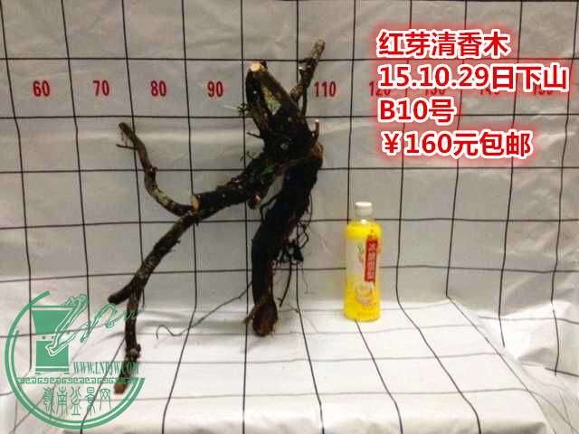 QQͼƬ20151029213004_.jpg