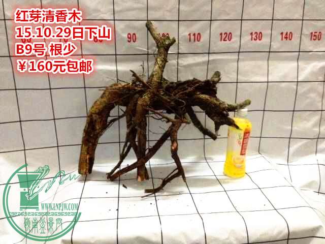 QQͼƬ20151029214309_.jpg