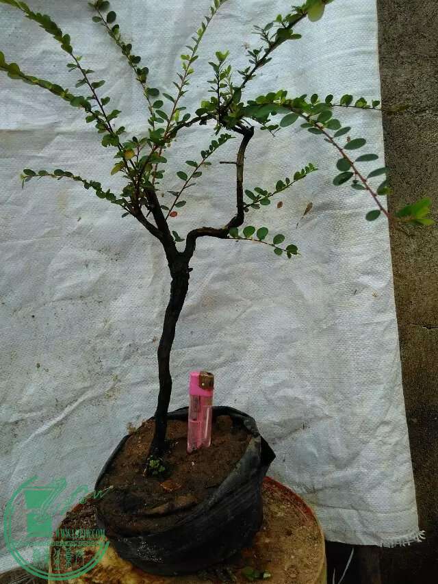 11.1.jpg