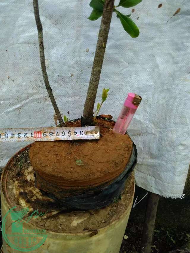15.3.jpg