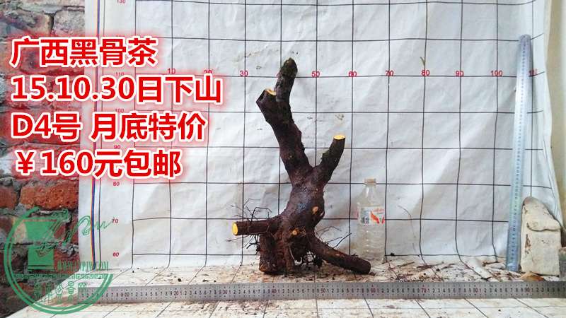 IMG_20151030_174247_.jpg