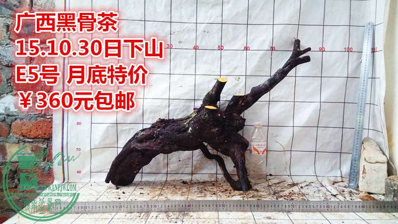 IMG_20151030_174355_.jpg