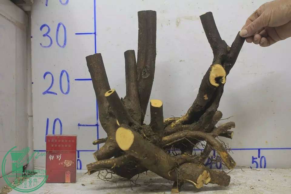 psb (14).jpg