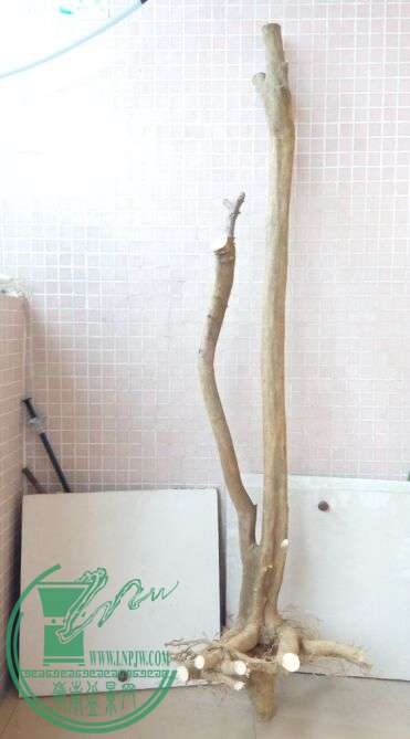 BL_{]_FBF8P2CYOG[PE6~3SI.jpg