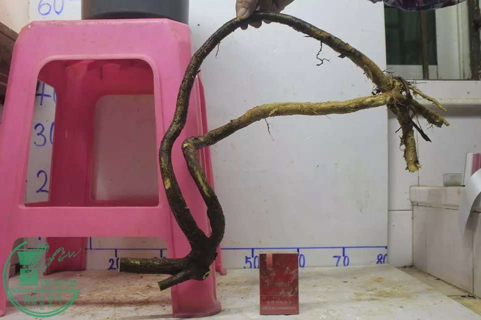 psb (9).jpg