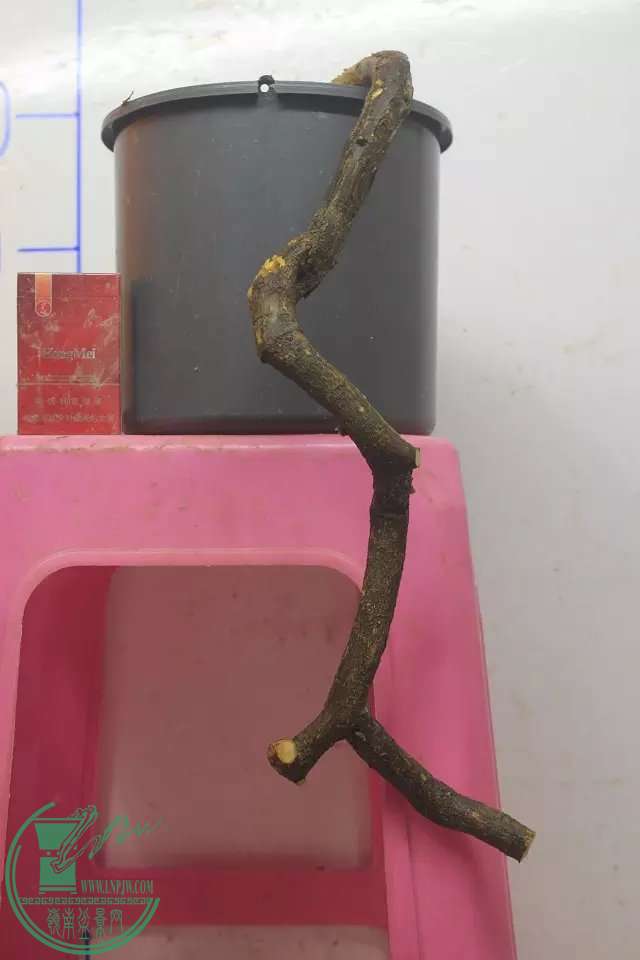 psb (8).jpg