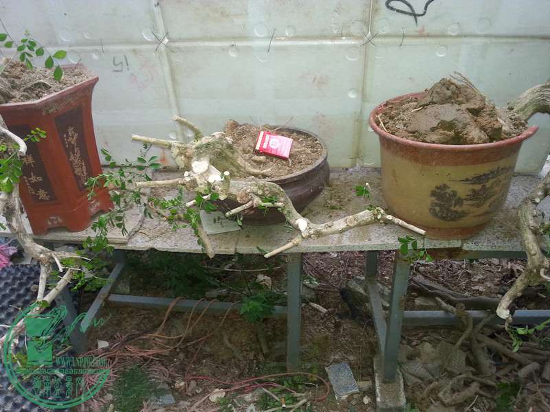 20151101_172141.jpg
