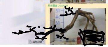 QQͼƬ20151102204715.jpg