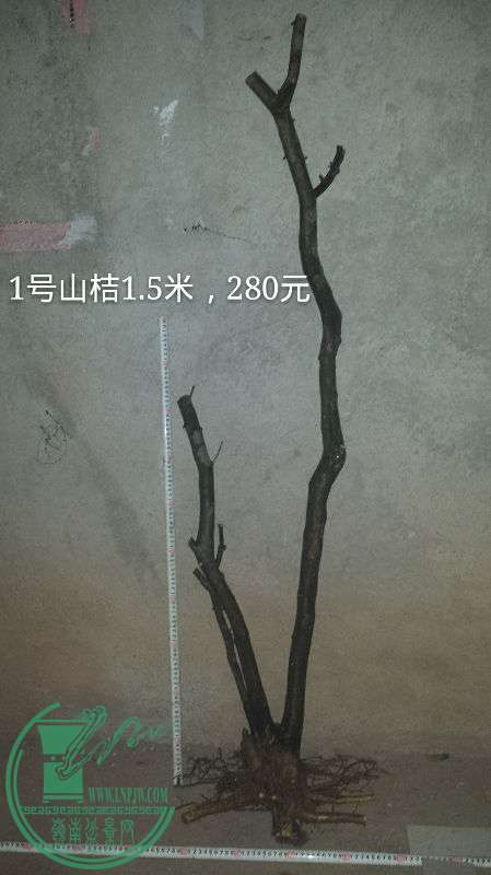 697114