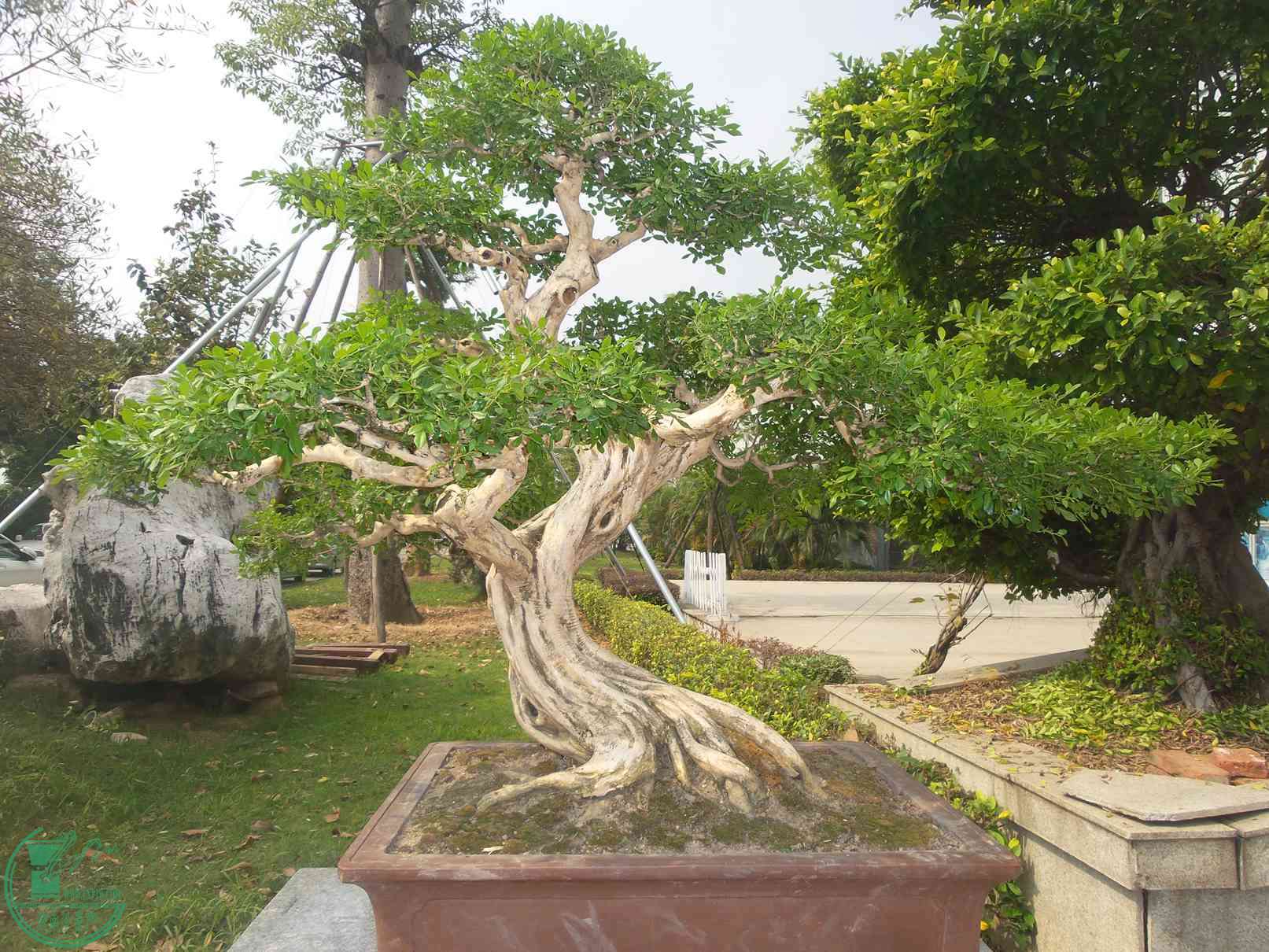20151024_101832.jpg