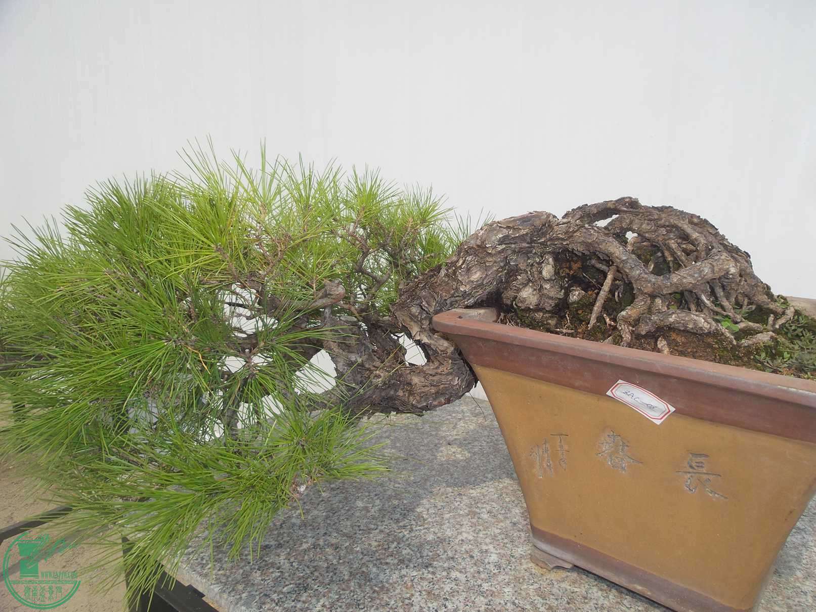 20151024_102836.jpg