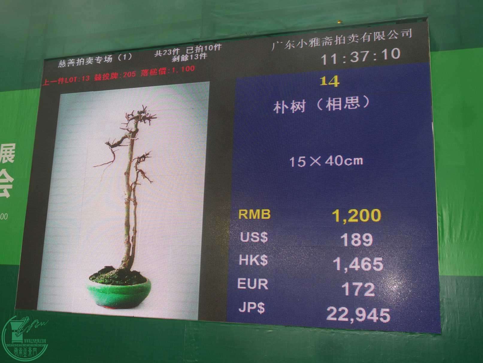 20151024_113710.jpg