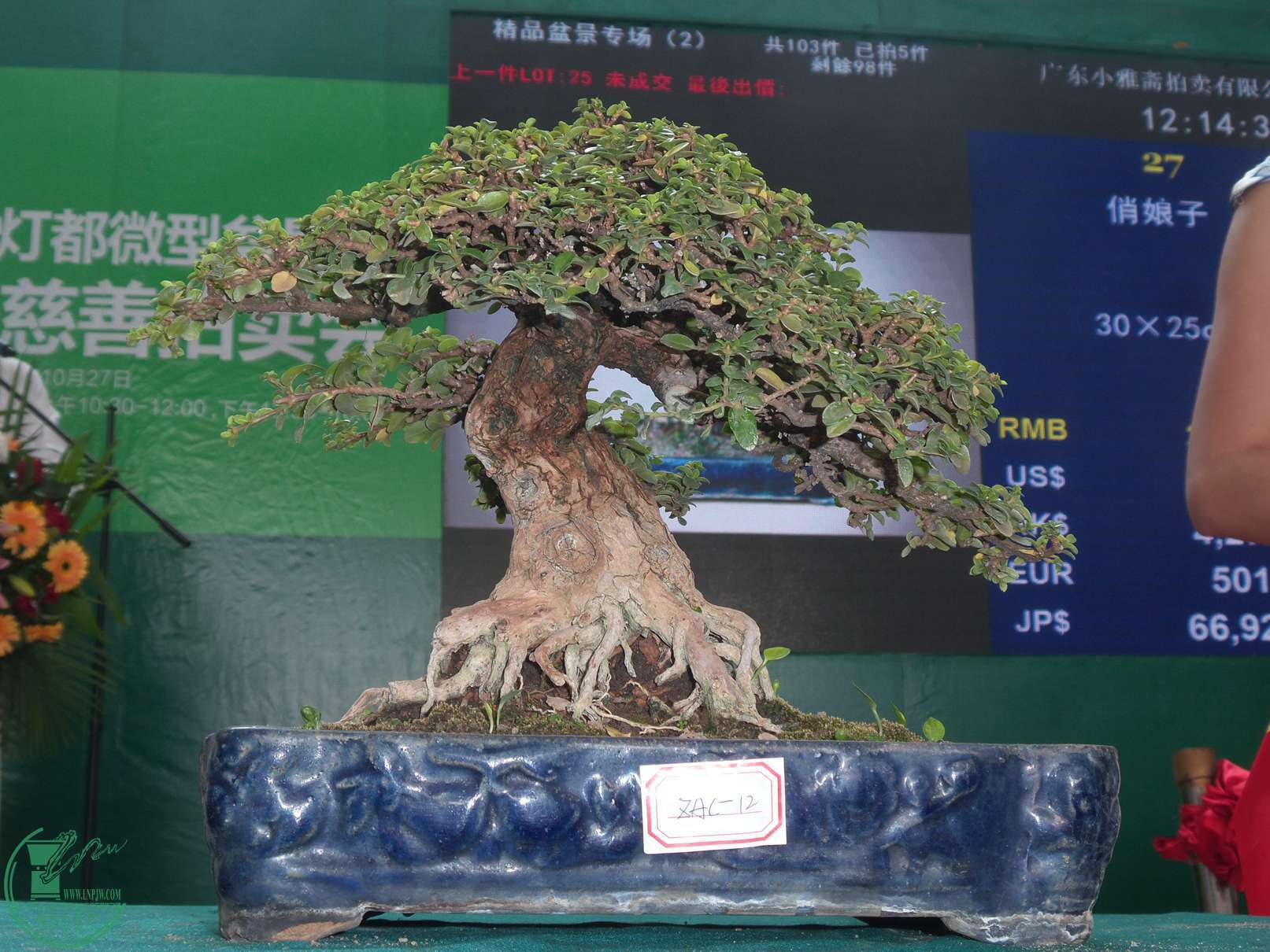 20151024_121436.jpg