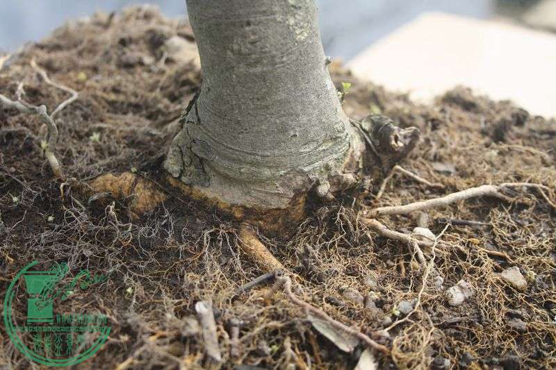 Ƭ20131026ۺ 3987.jpg