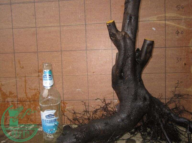 5ѻB.jpg
