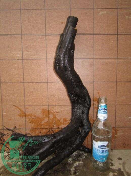 6ѻ.jpg