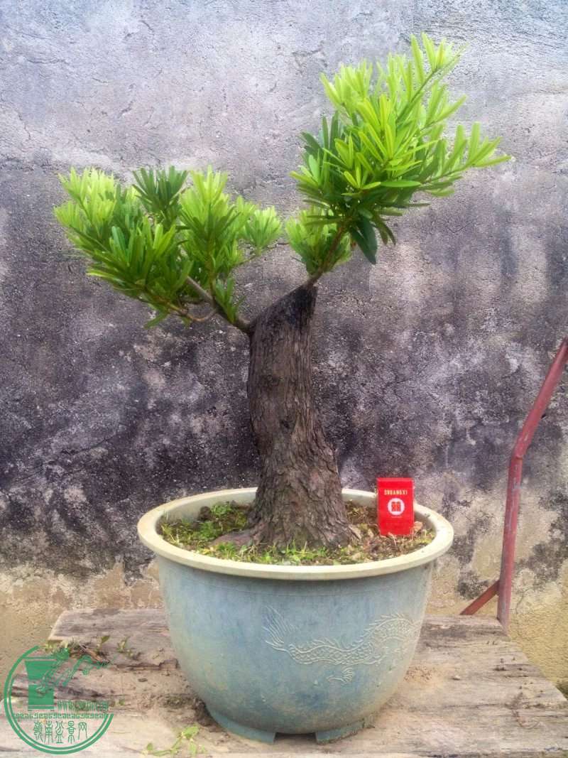 111.jpg