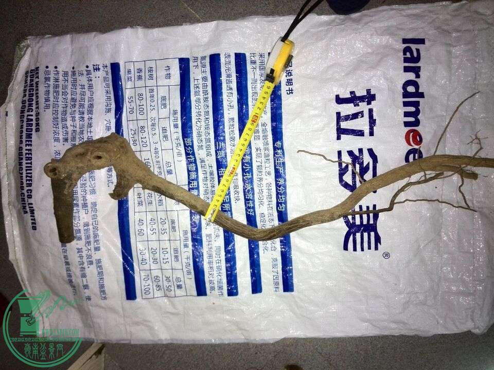 2120Ԫ