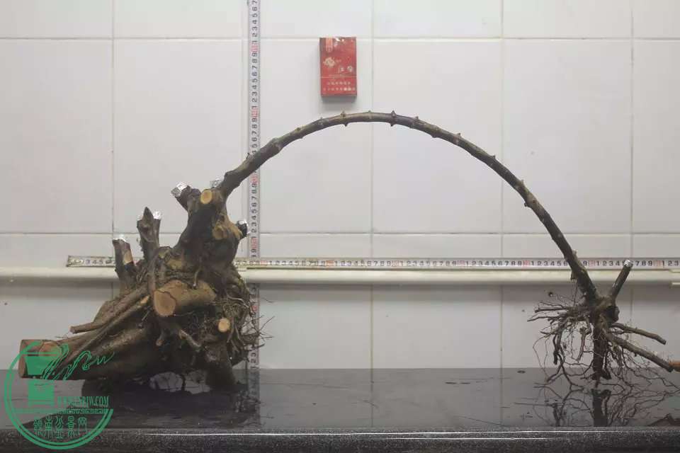 psb (4).jpg
