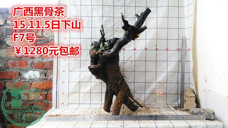 IMG_20151105_133442_.jpg