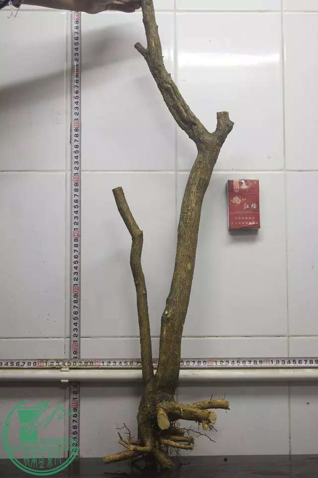 psb (8).jpg