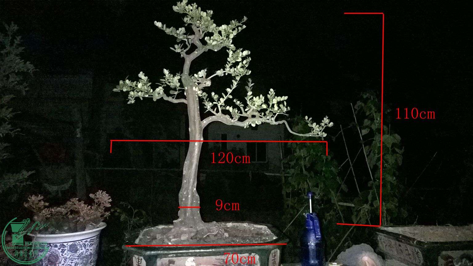 WP_20150427_071_.jpg