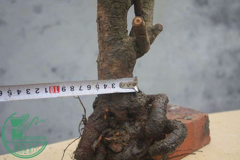 Ƭ20131026ۺ 3994.jpg