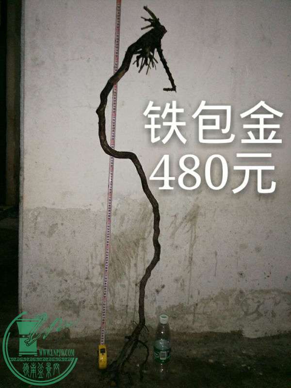 698205