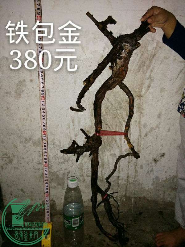 698206