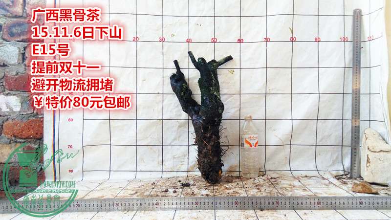 IMG_20151106_174409_.jpg