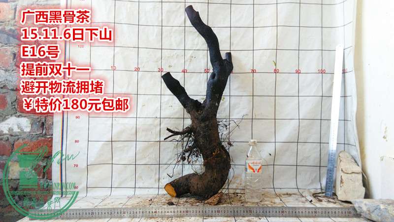 IMG_20151106_174526_.jpg