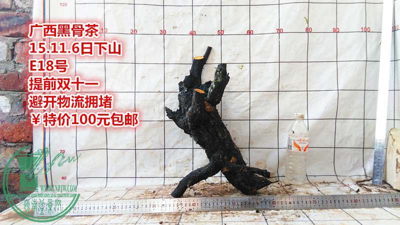 IMG_20151106_174901_.jpg