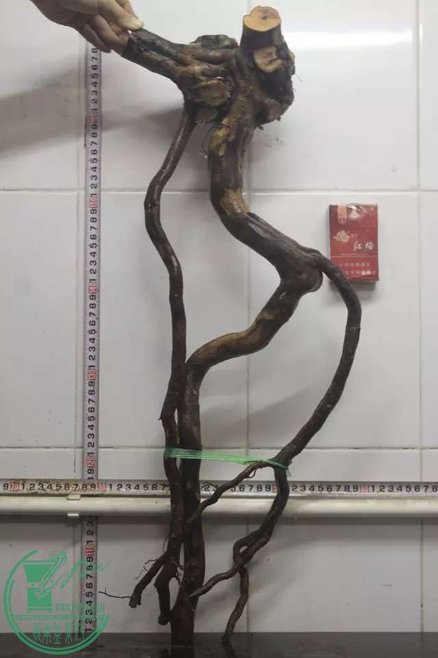 psb (9).jpg