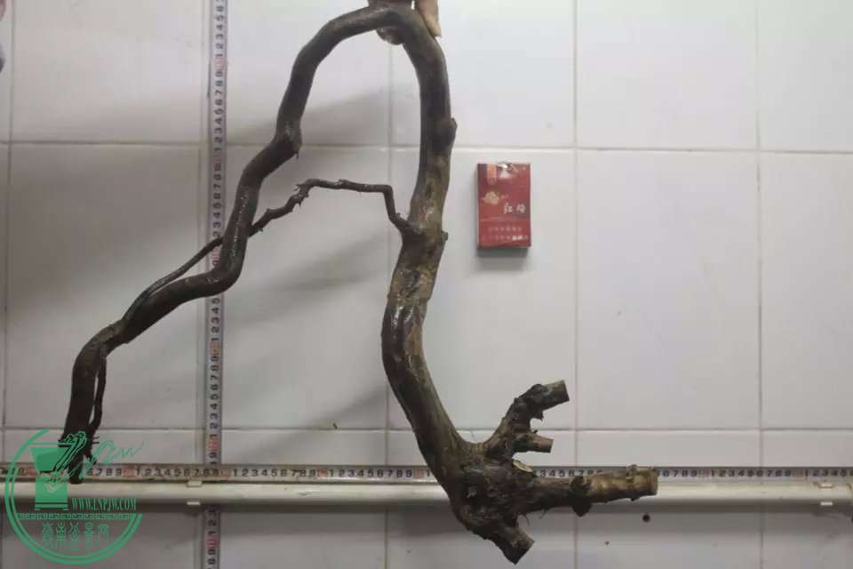 psb (11).jpg