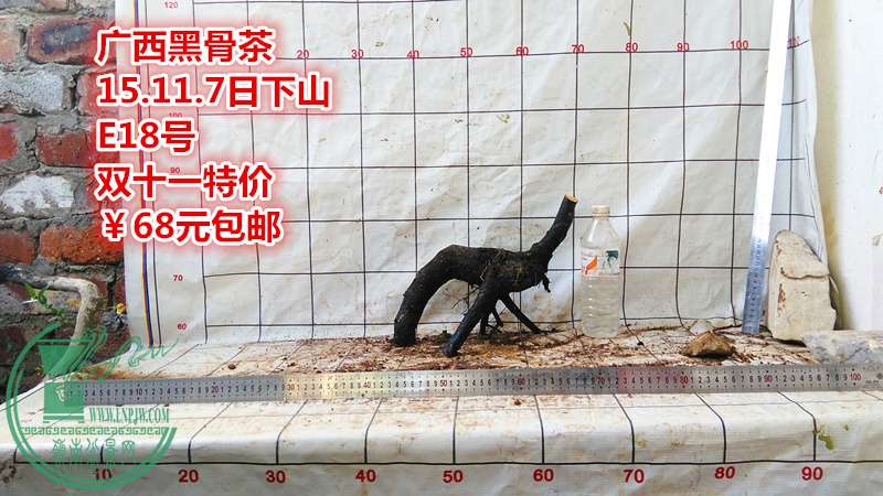 IMG_20151107_171033_.jpg