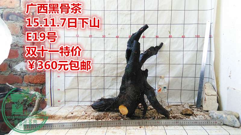 IMG_20151107_171154_.jpg