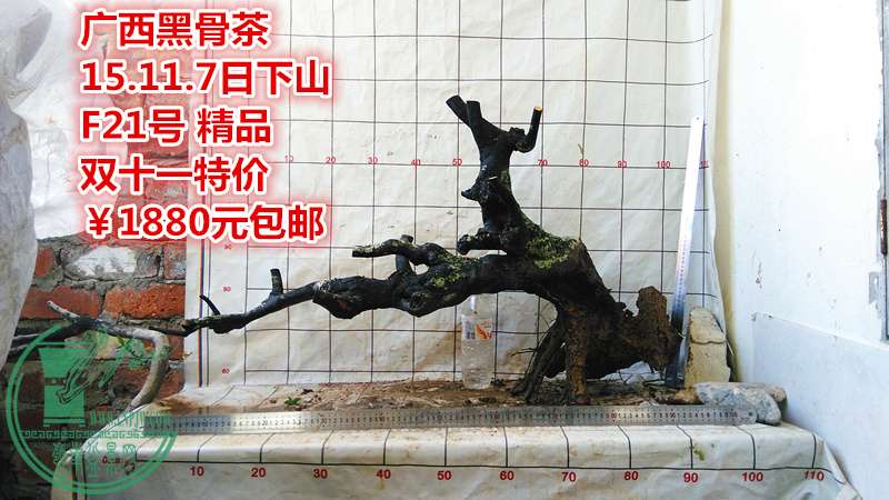 IMG_20151107_172429_.jpg