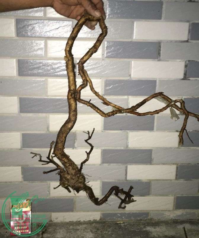image.jpeg