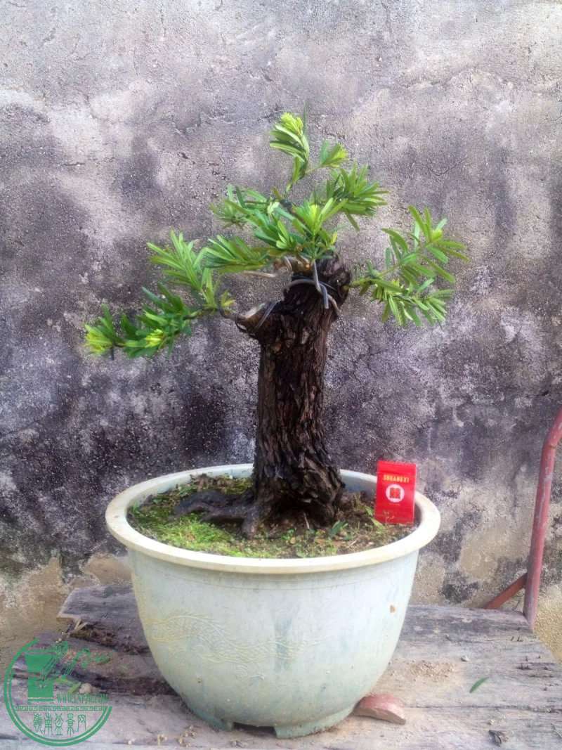 111.jpg