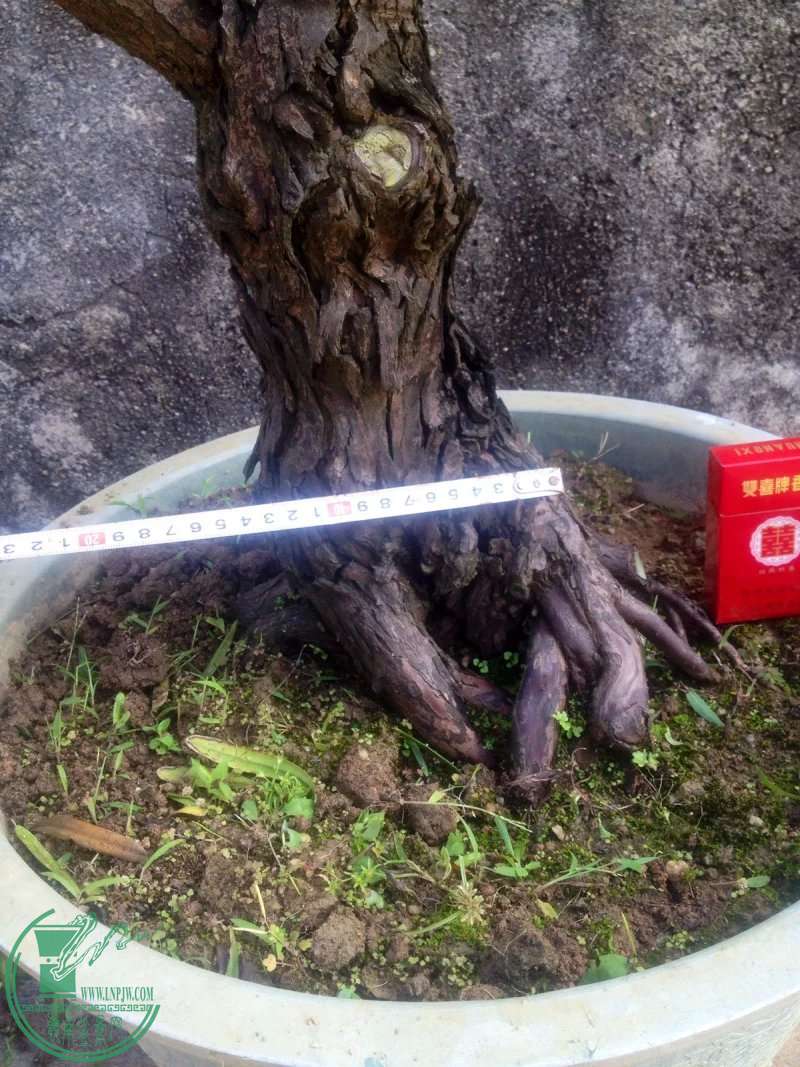 22.jpg