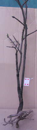 QQͼ20151109001456.png