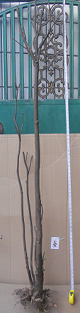QQͼ20151109001603.png