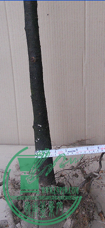 QQͼ20151109001611.png