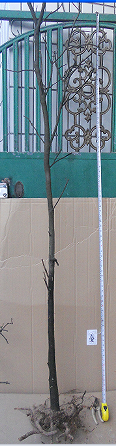 QQͼ20151109001619.png