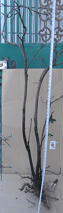 QQͼ20151109001628.png